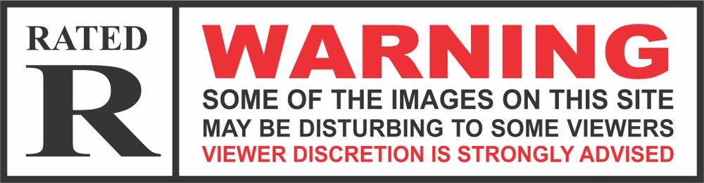 chapmada OnlyFans profile picture
