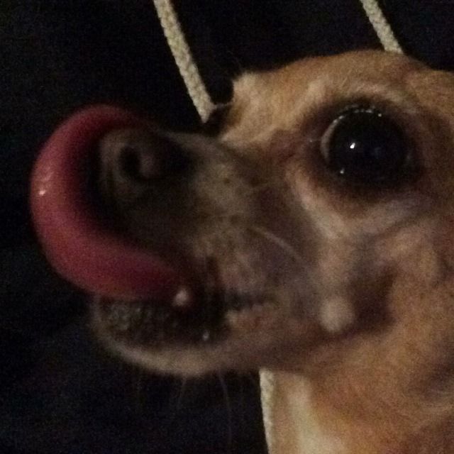 fallenwaifu OnlyFans profile picture