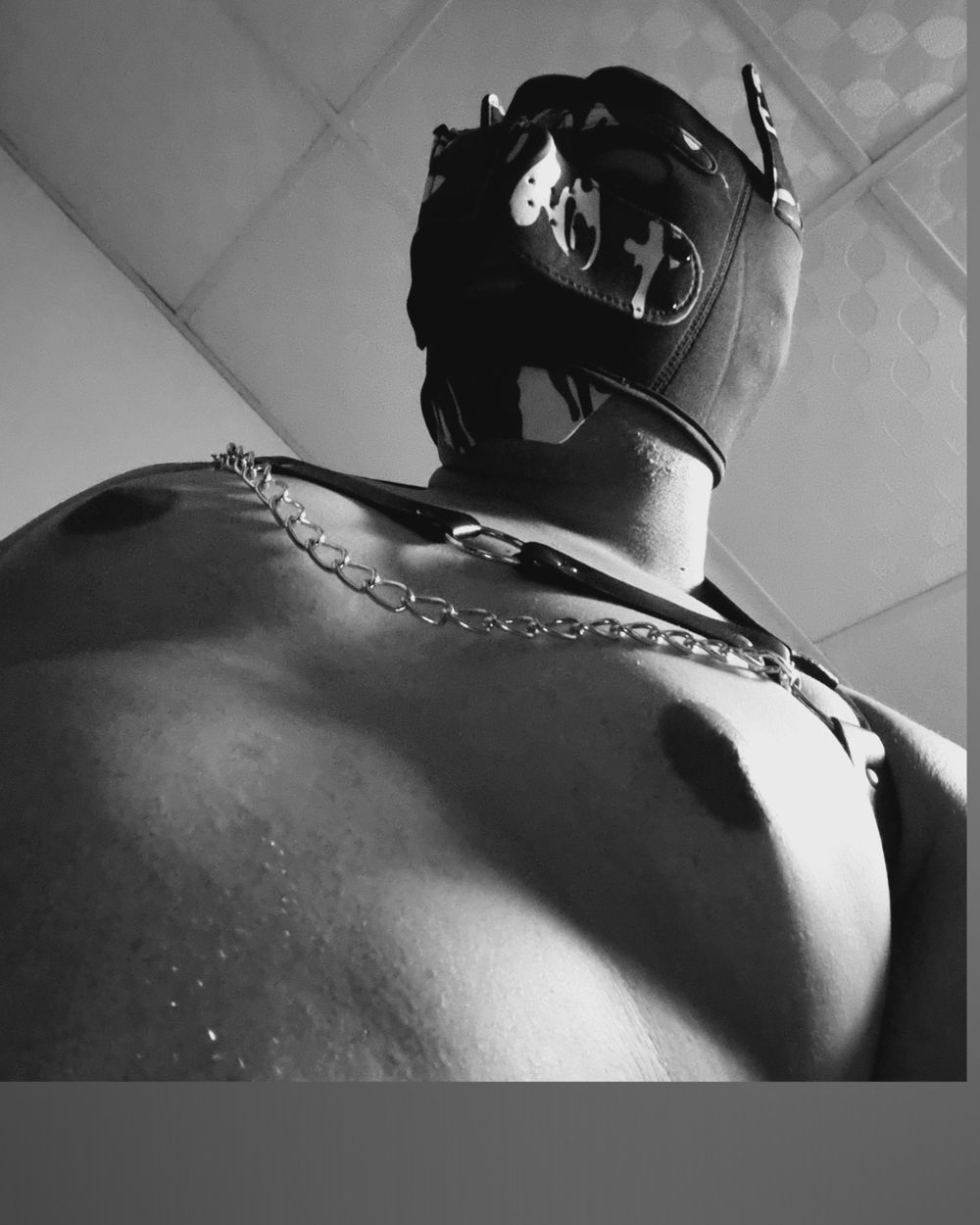 xthetopdogx OnlyFans profile picture