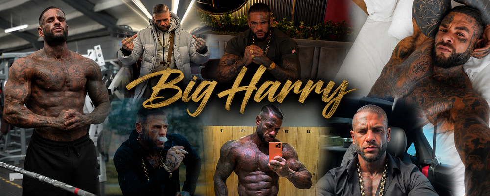 bigharrys OnlyFans profile picture