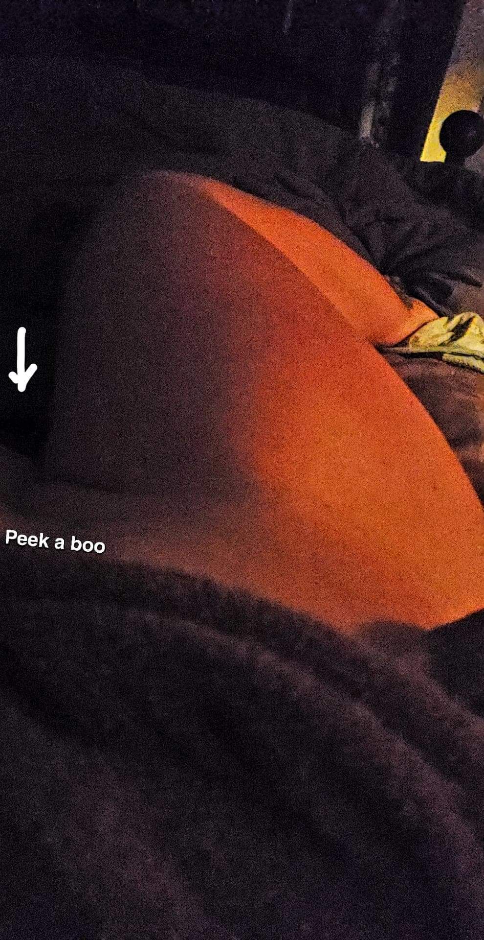 u181861629 OnlyFans profile picture