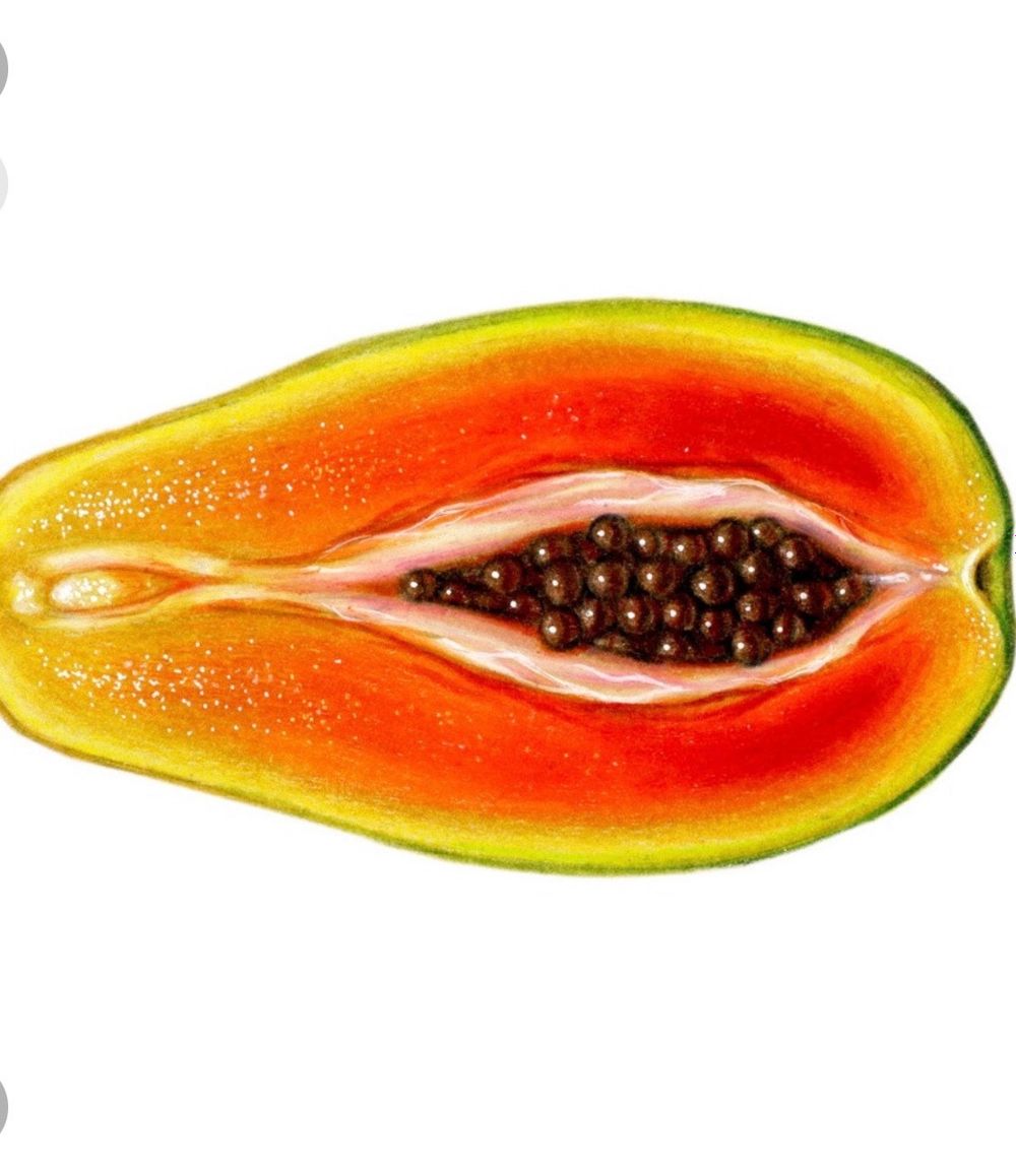 alaweet OnlyFans profile picture