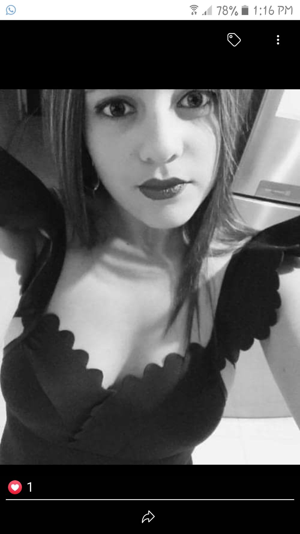 vannedv OnlyFans profile picture