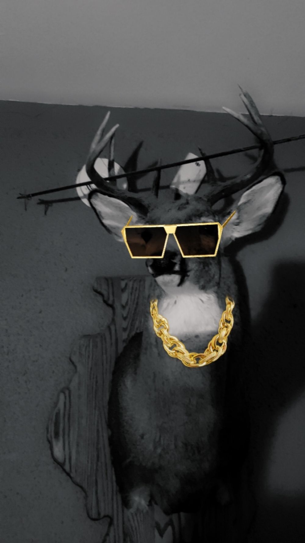 ayebrotv OnlyFans profile picture