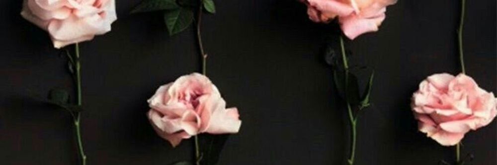 belladarkbloom OnlyFans profile picture