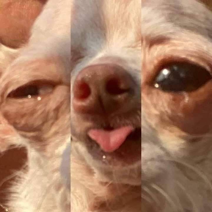 kavikawaii OnlyFans profile picture