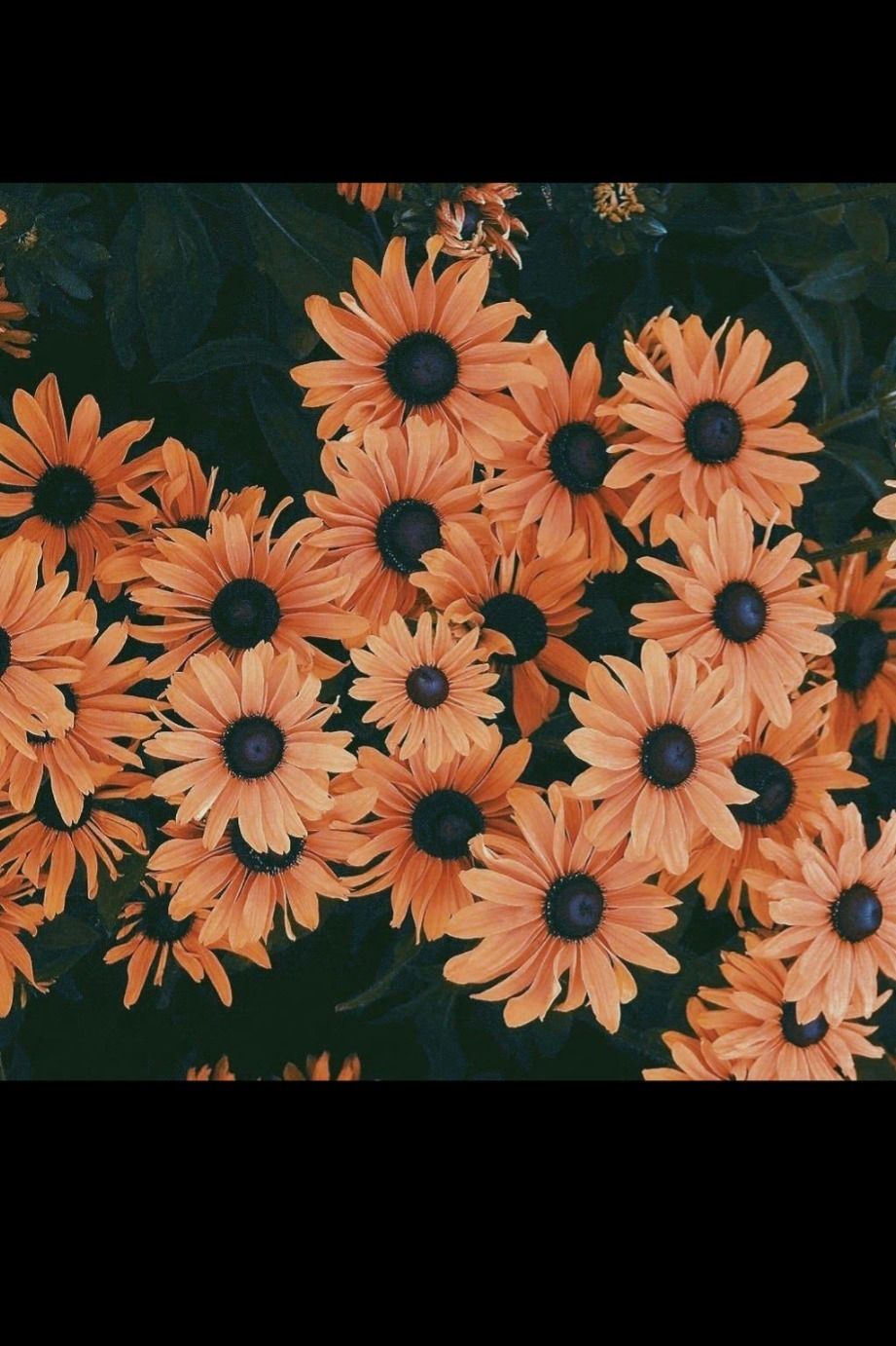 u231087896 OnlyFans profile picture