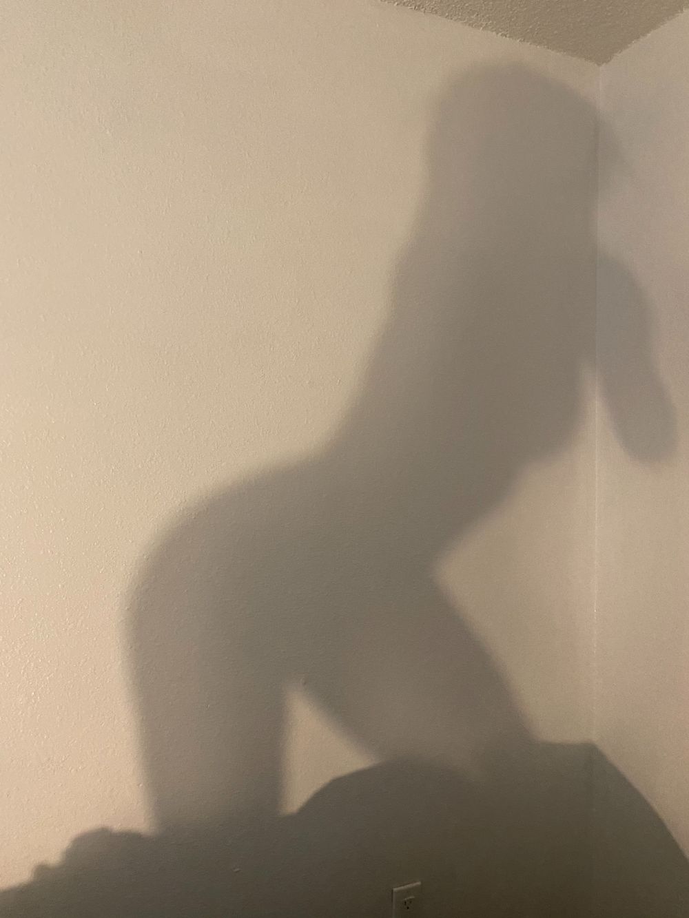 tink333r OnlyFans profile picture