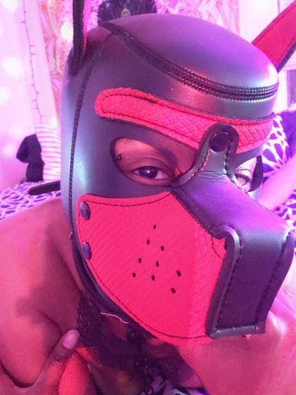 mischievouscollars OnlyFans picture