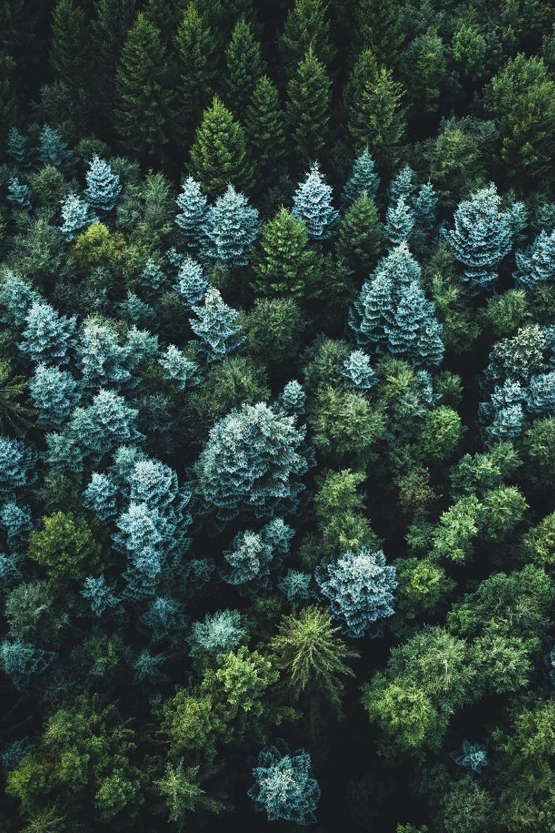 lingerielion OnlyFans profile picture