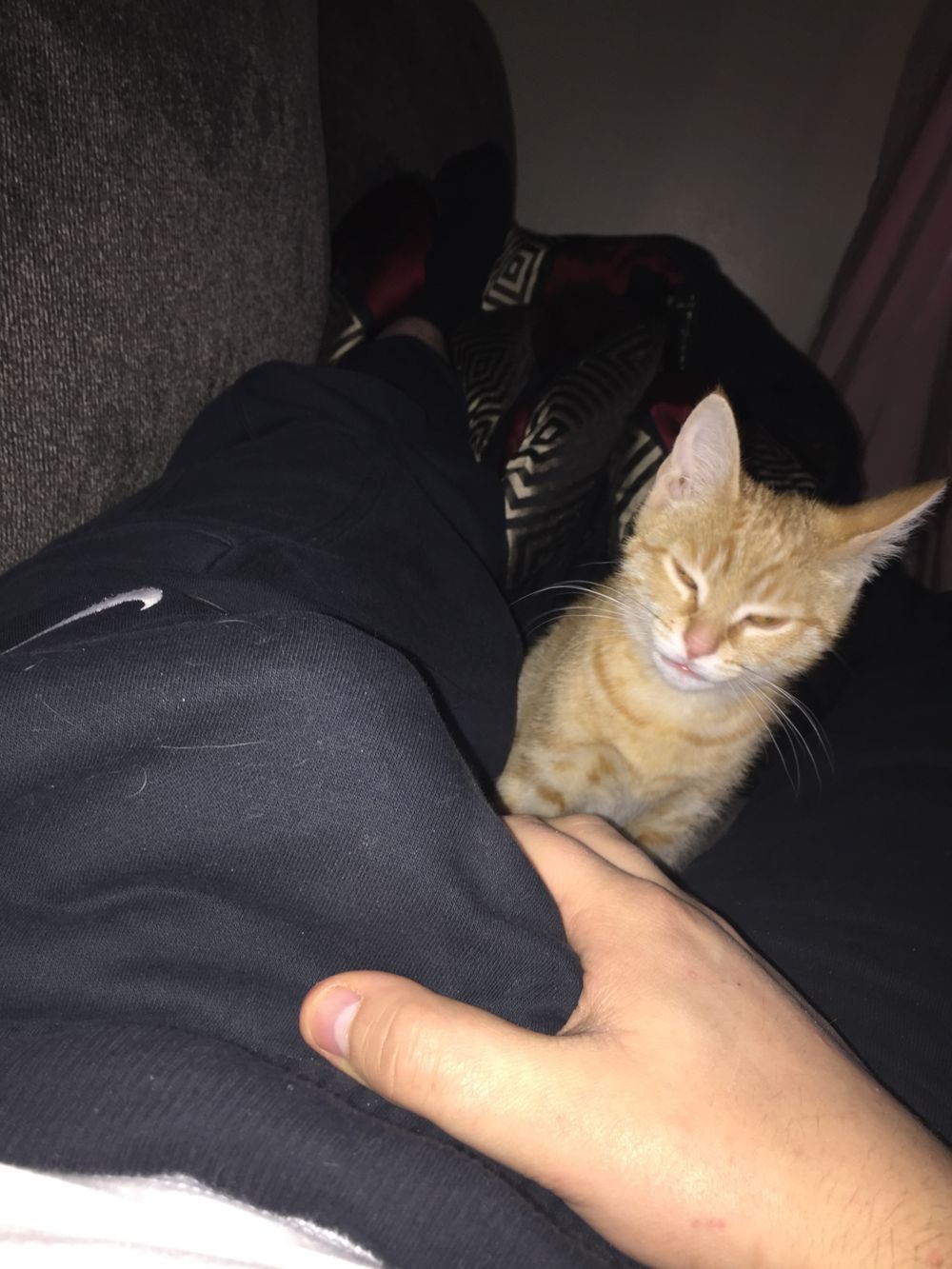 slanginshitttt OnlyFans profile picture
