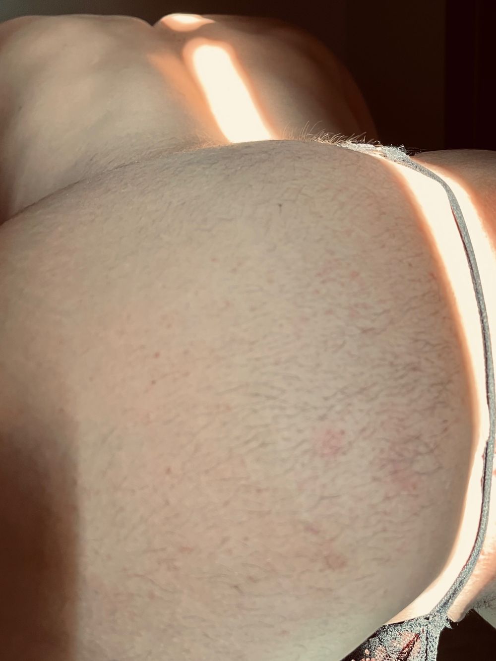 wolfgay4 OnlyFans profile picture