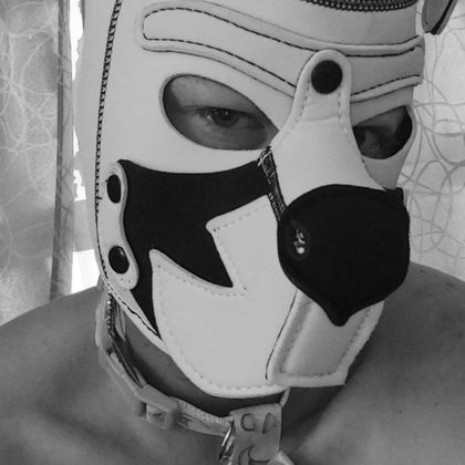 daddyspet271 OnlyFans picture