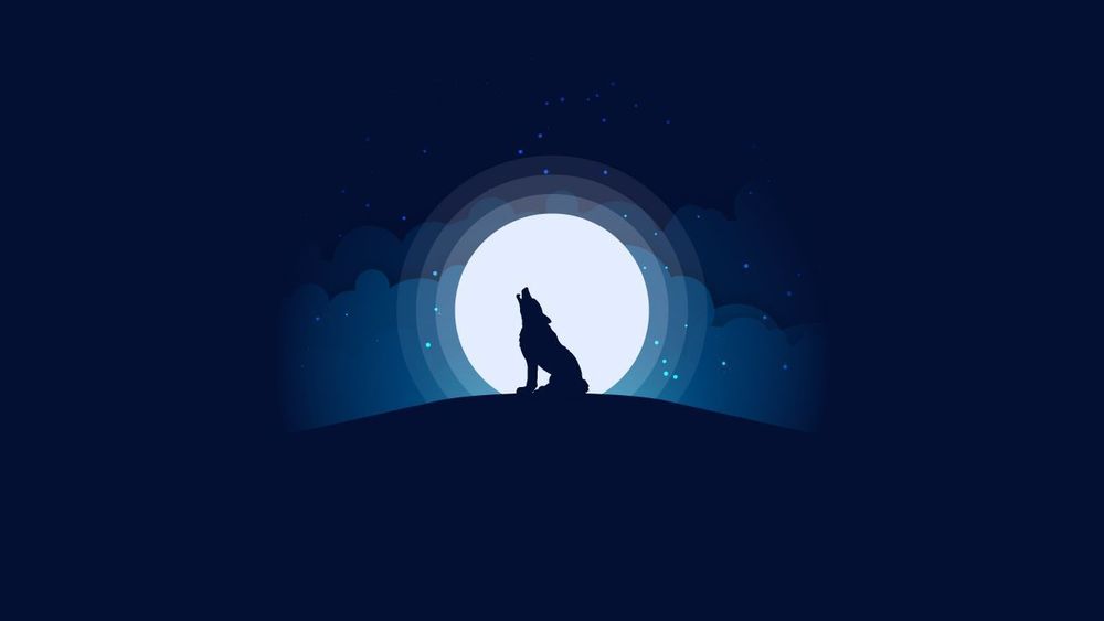 wolf.wester OnlyFans profile picture