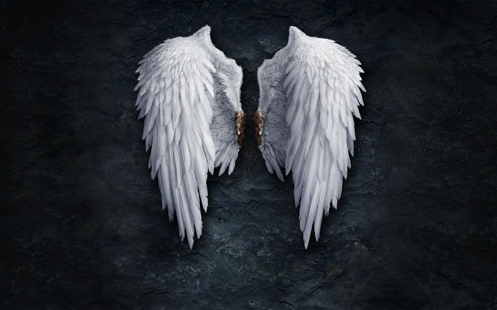 princeofwolves OnlyFans profile picture