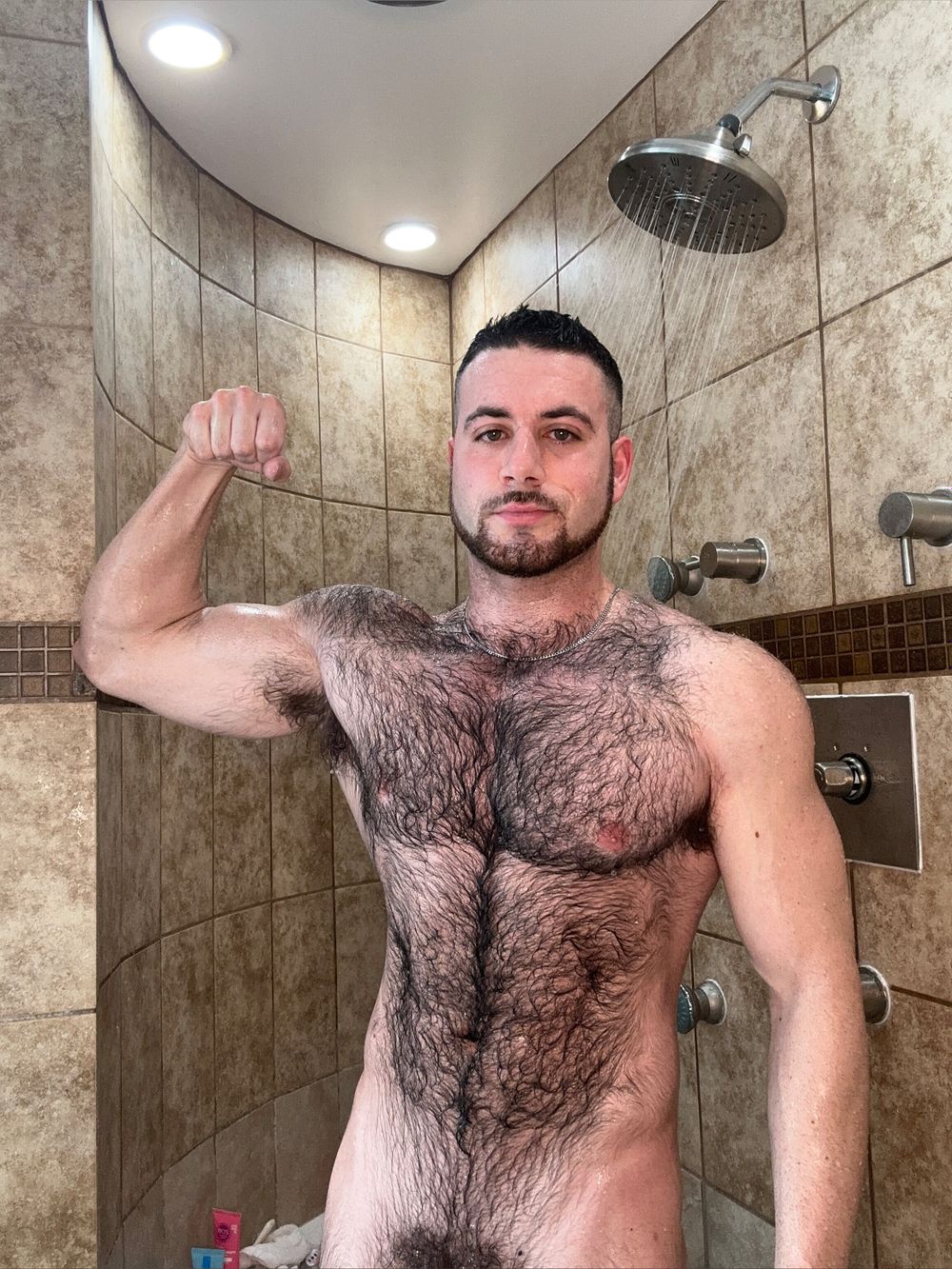 shredsfree OnlyFans profile picture