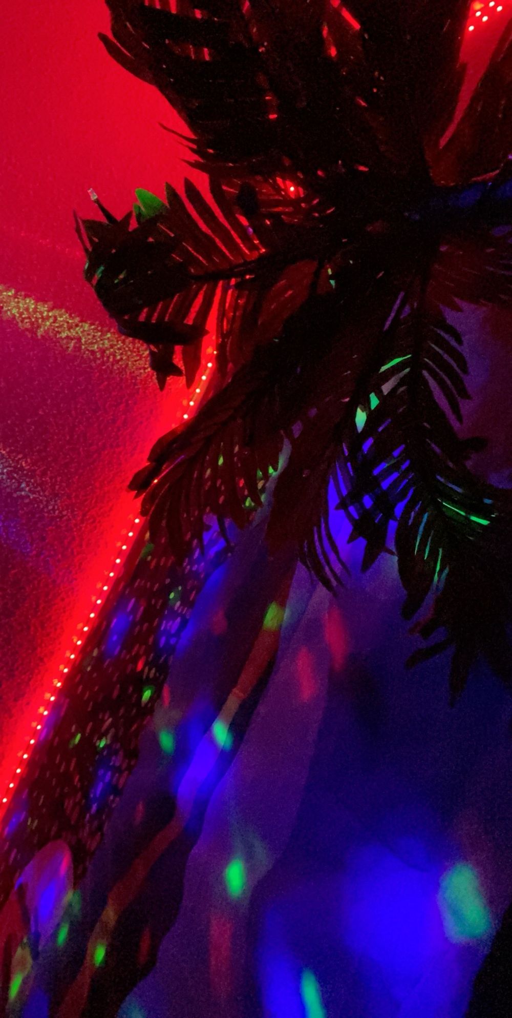 xoxoitsdakota OnlyFans profile picture