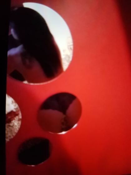 foxy1972 OnlyFans picture