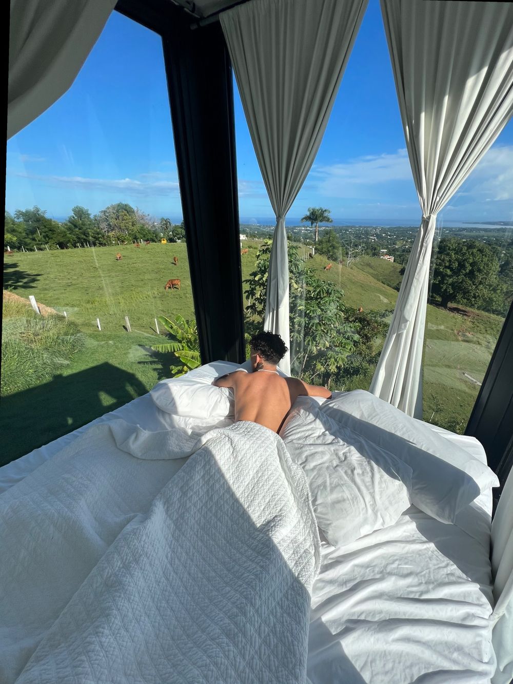 deloadz OnlyFans profile picture