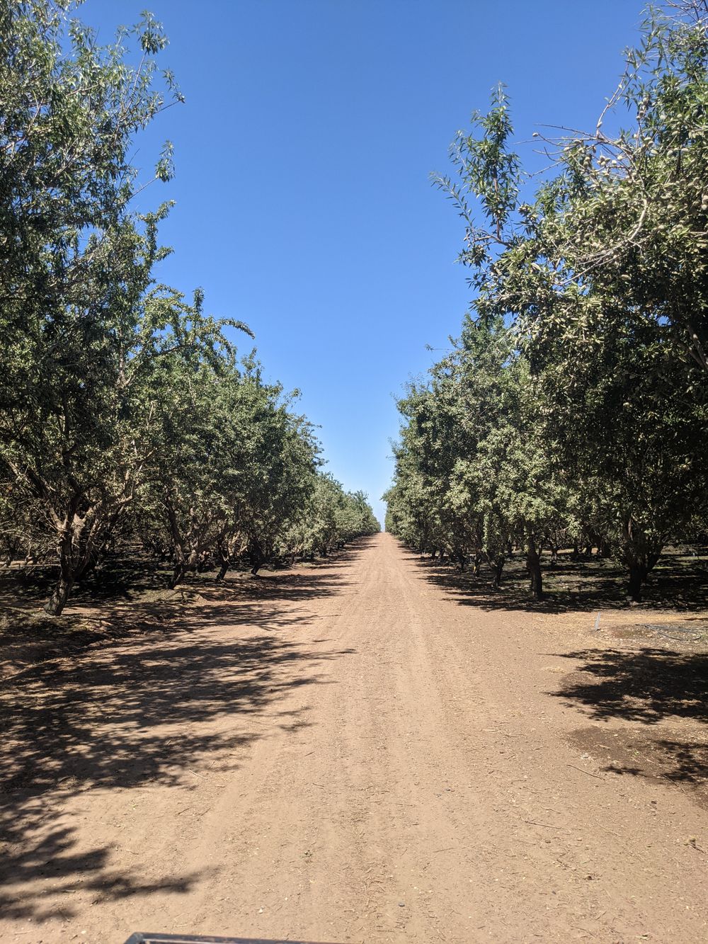 farmeradam OnlyFans profile picture
