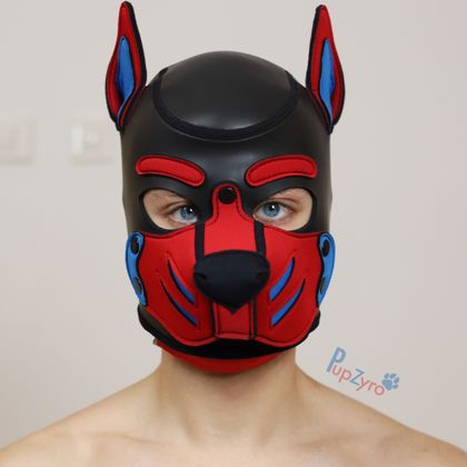 pupzyro OnlyFans picture