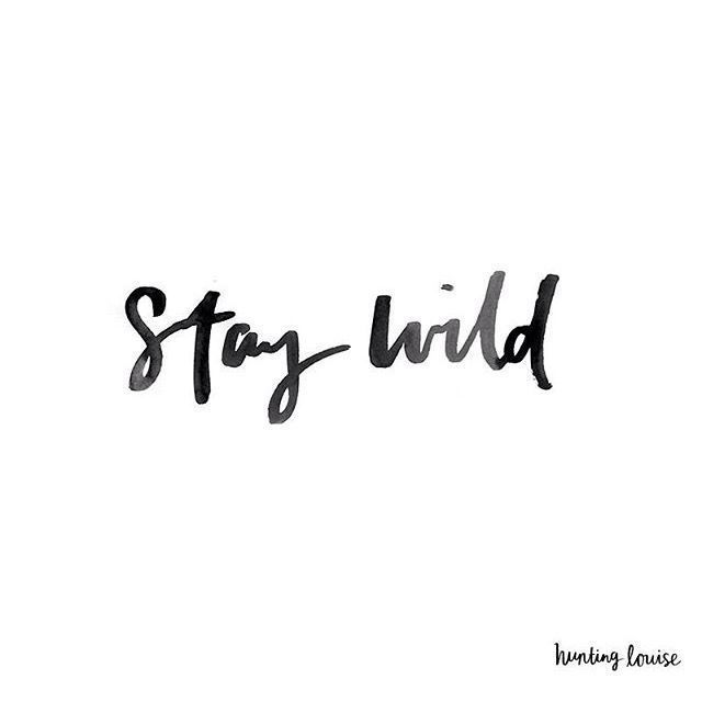 wildlifeeeee OnlyFans profile picture