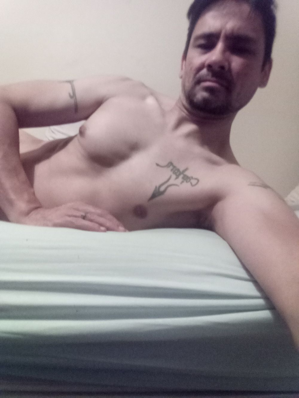 ma1tese_fa1con OnlyFans profile picture