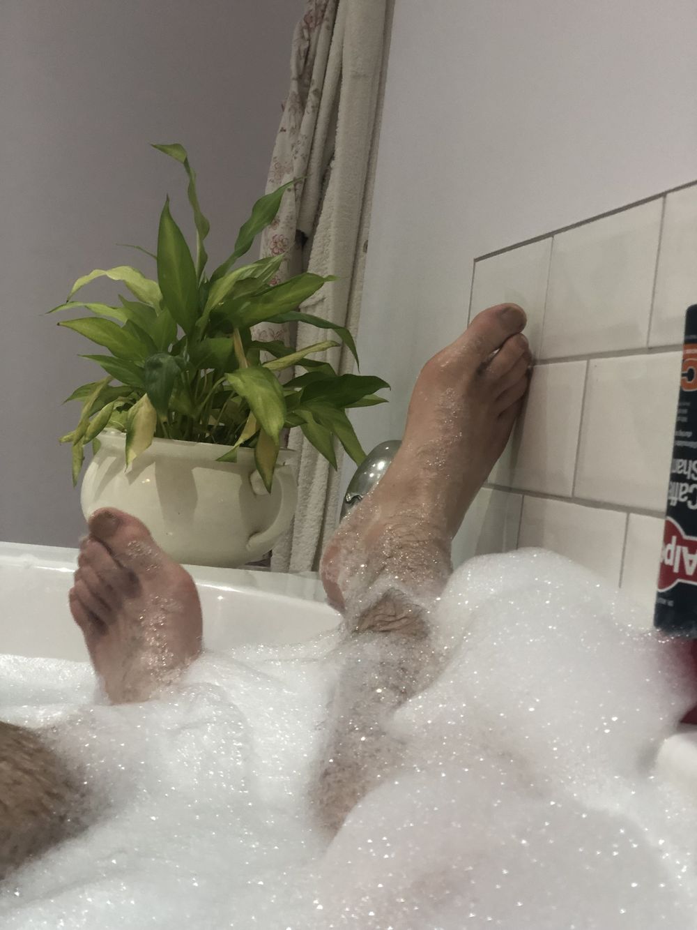 masterdantedck OnlyFans profile picture