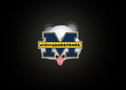 michigandapanda OnlyFans picture