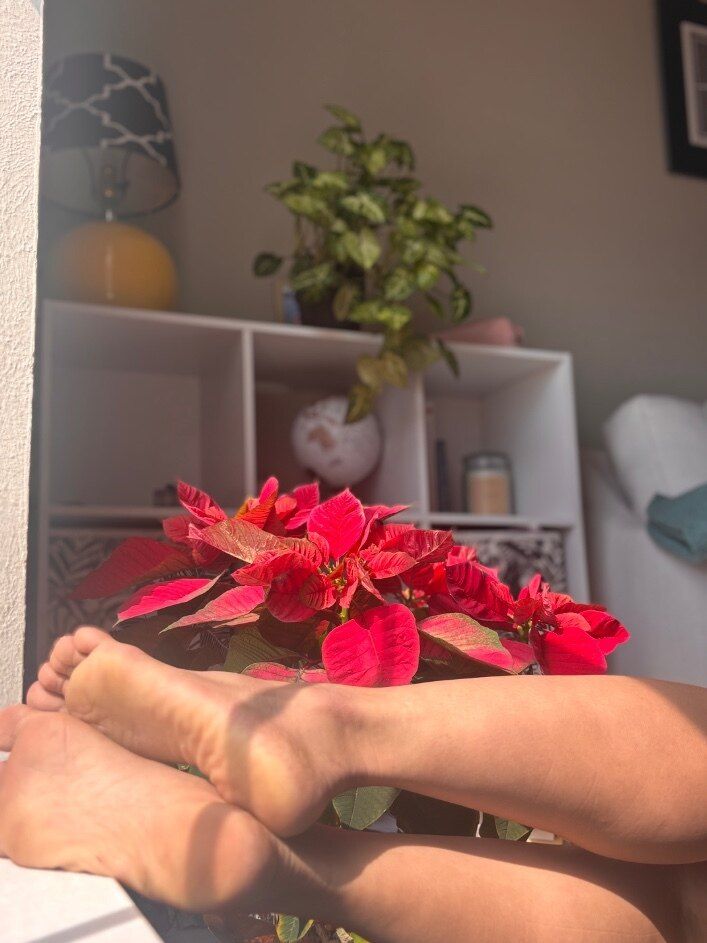 lilysoless OnlyFans profile picture