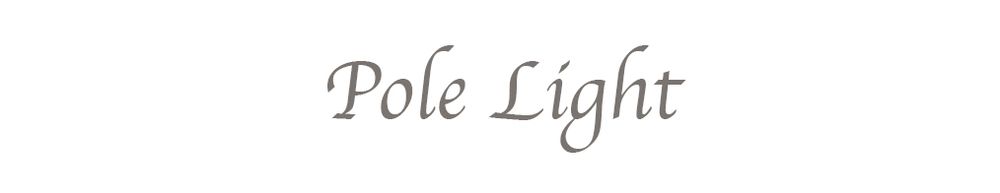 pole_light OnlyFans profile picture