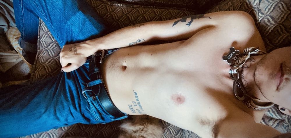 muttboyjudas OnlyFans profile picture