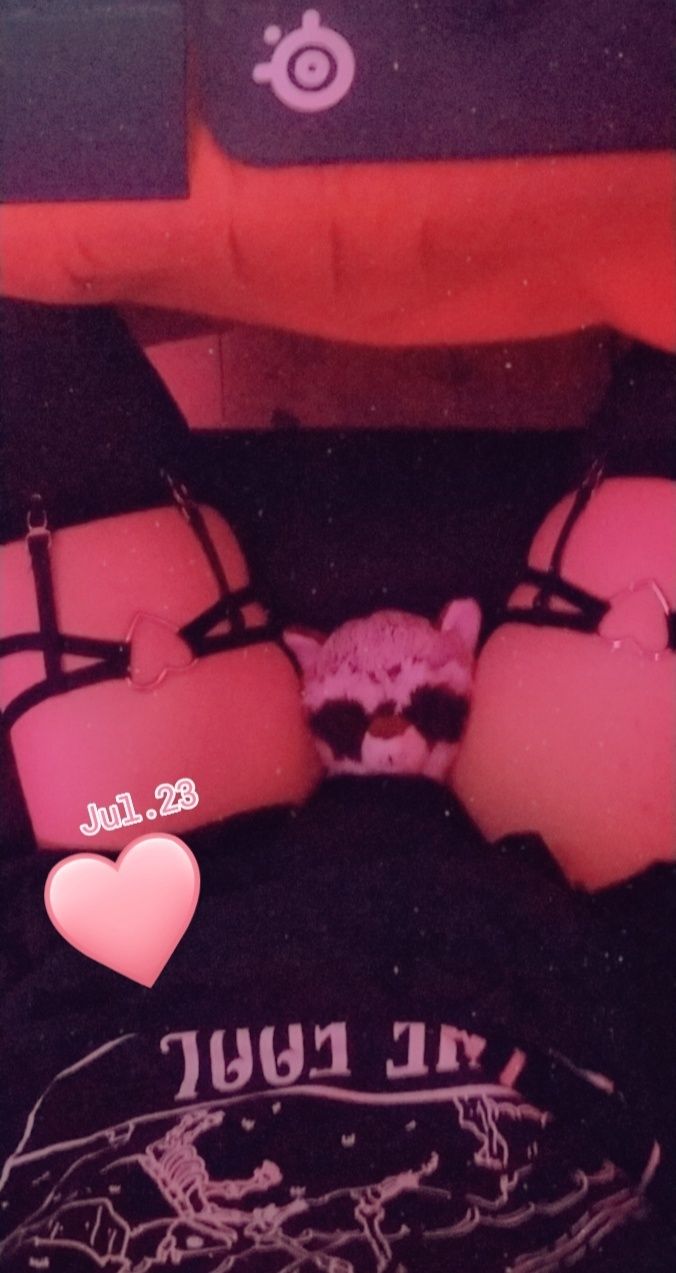 court.jester OnlyFans profile picture