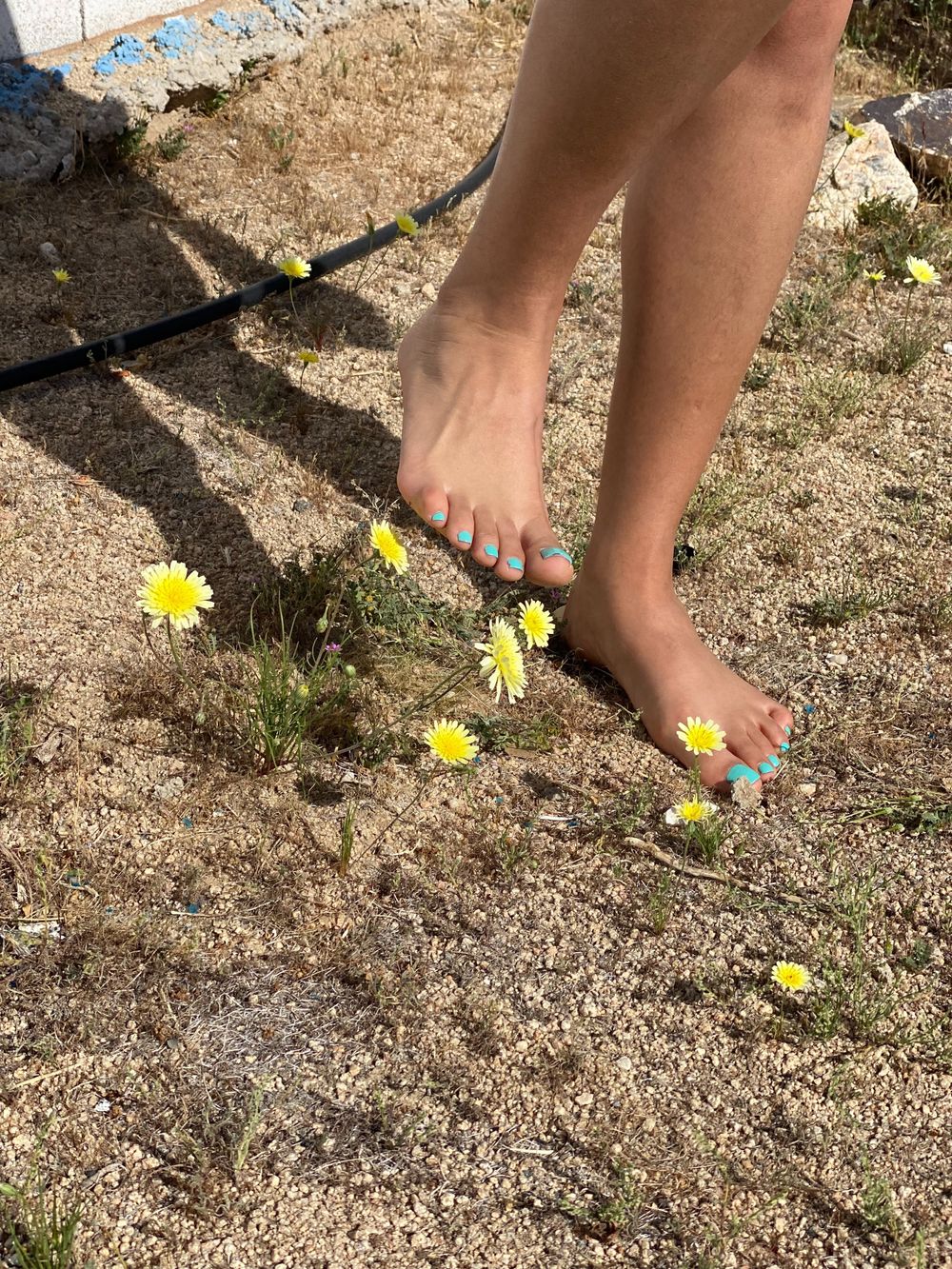 footsiestarrr OnlyFans profile picture