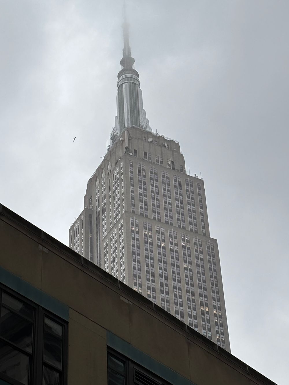 bigdumbslutnyc OnlyFans profile picture