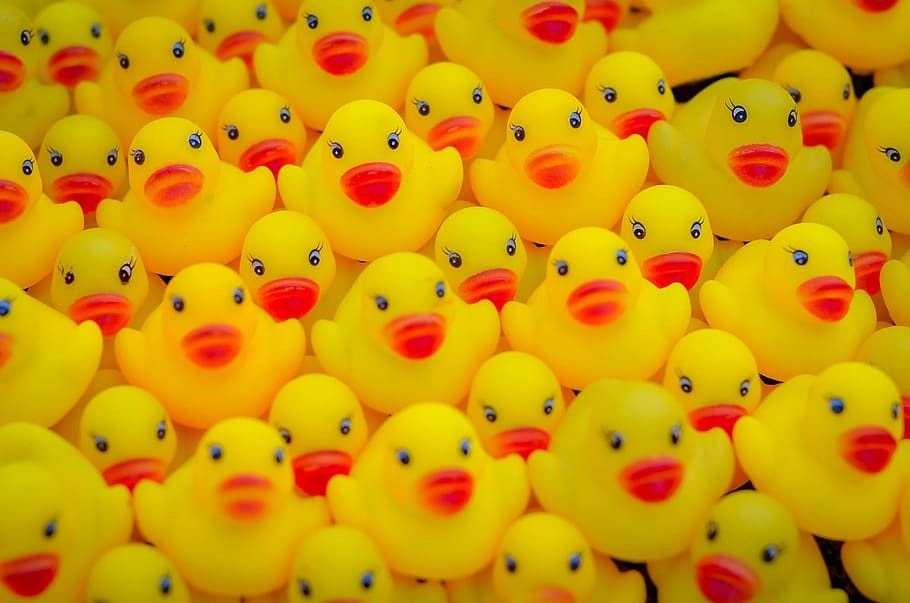 rubberduckey OnlyFans profile picture
