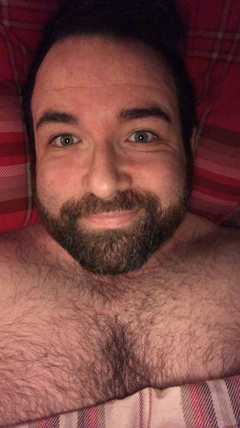irishbear88 OnlyFans profile picture