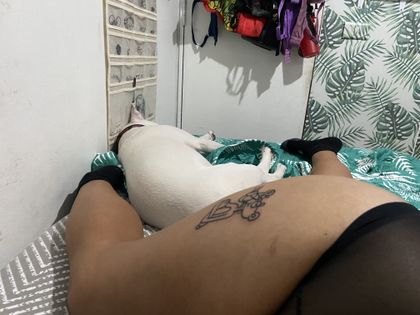 lapanterarosachile OnlyFans picture