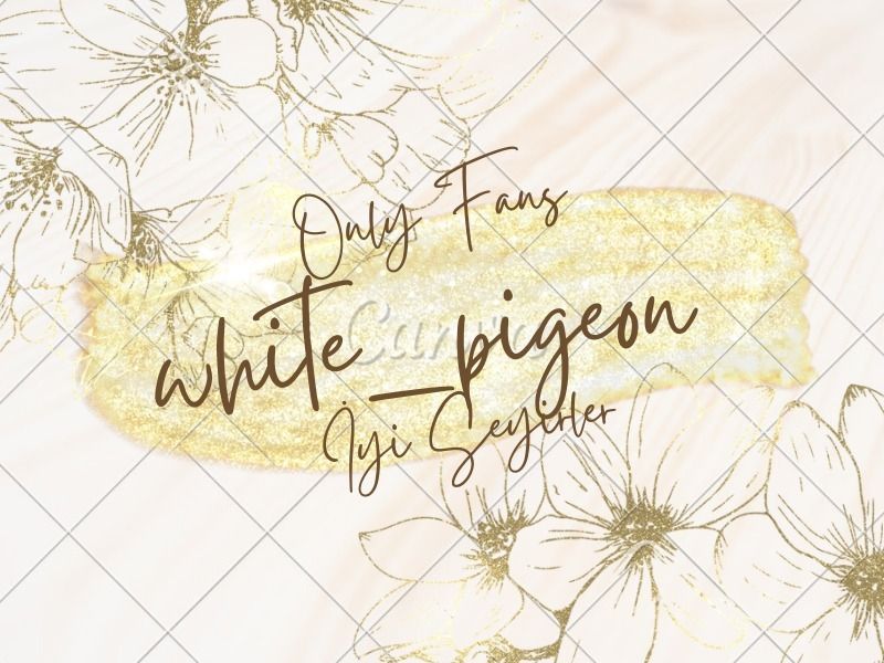 white_pigeon OnlyFans profile picture
