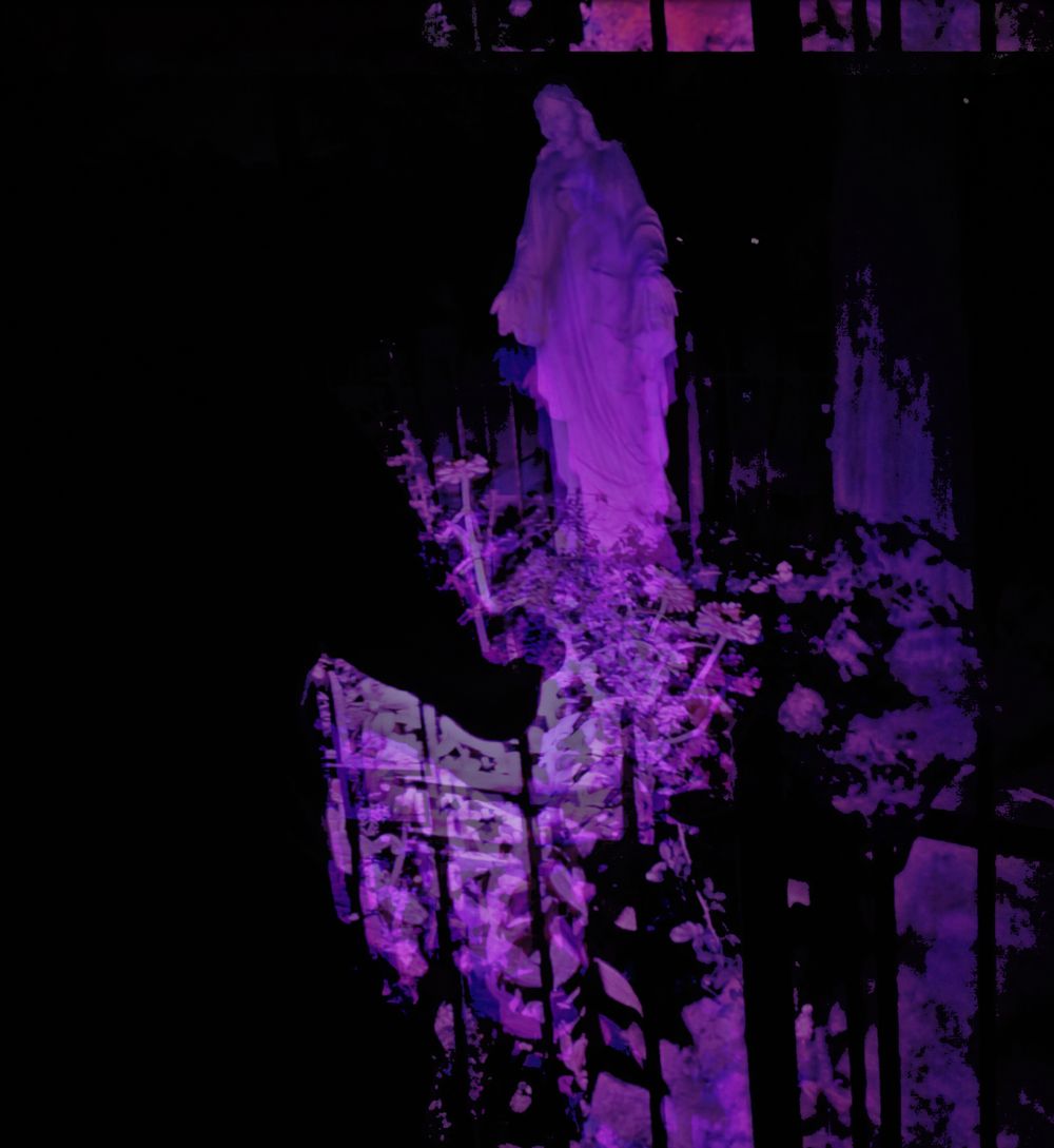 violet-graveyard OnlyFans profile picture