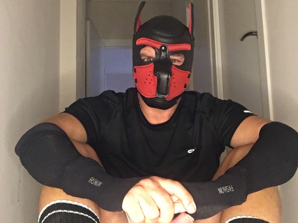 maskpor2022 OnlyFans profile picture