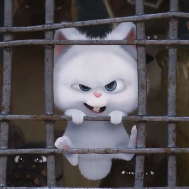 awmeowuwu OnlyFans profile picture
