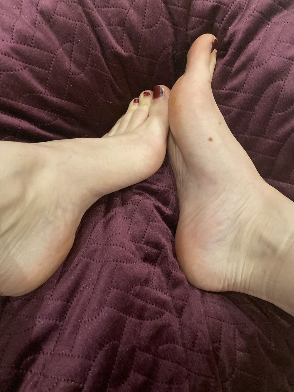 lysafeet OnlyFans profile picture