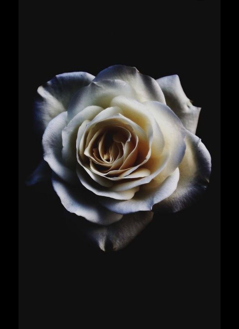 u154520560 OnlyFans profile picture