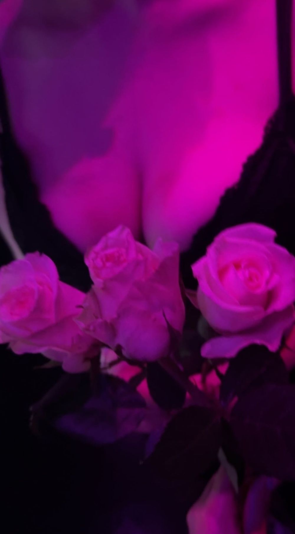 vanillalounge OnlyFans profile picture