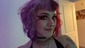 littlewinnie OnlyFans - Stats, Graphs, Photos & Profile Comparisons