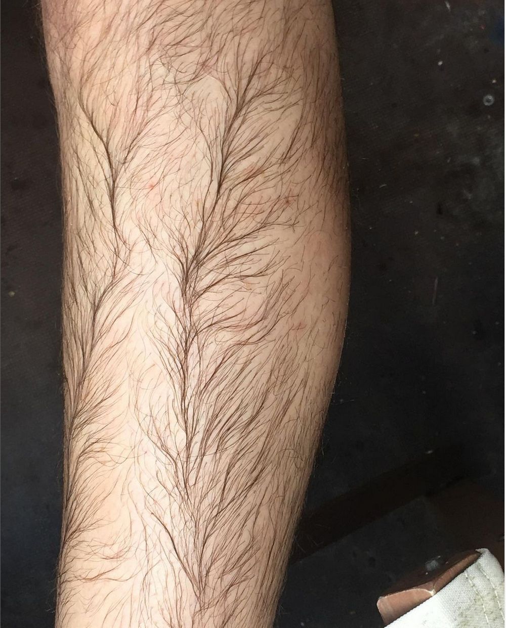 hairytales OnlyFans profile picture