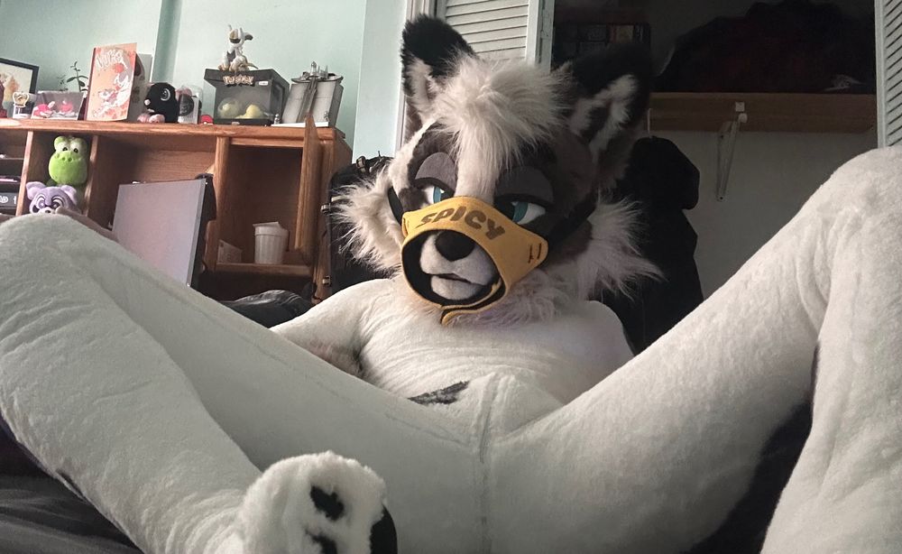 chancexxl OnlyFans profile picture