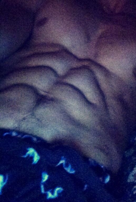 phoenix_fit OnlyFans profile picture