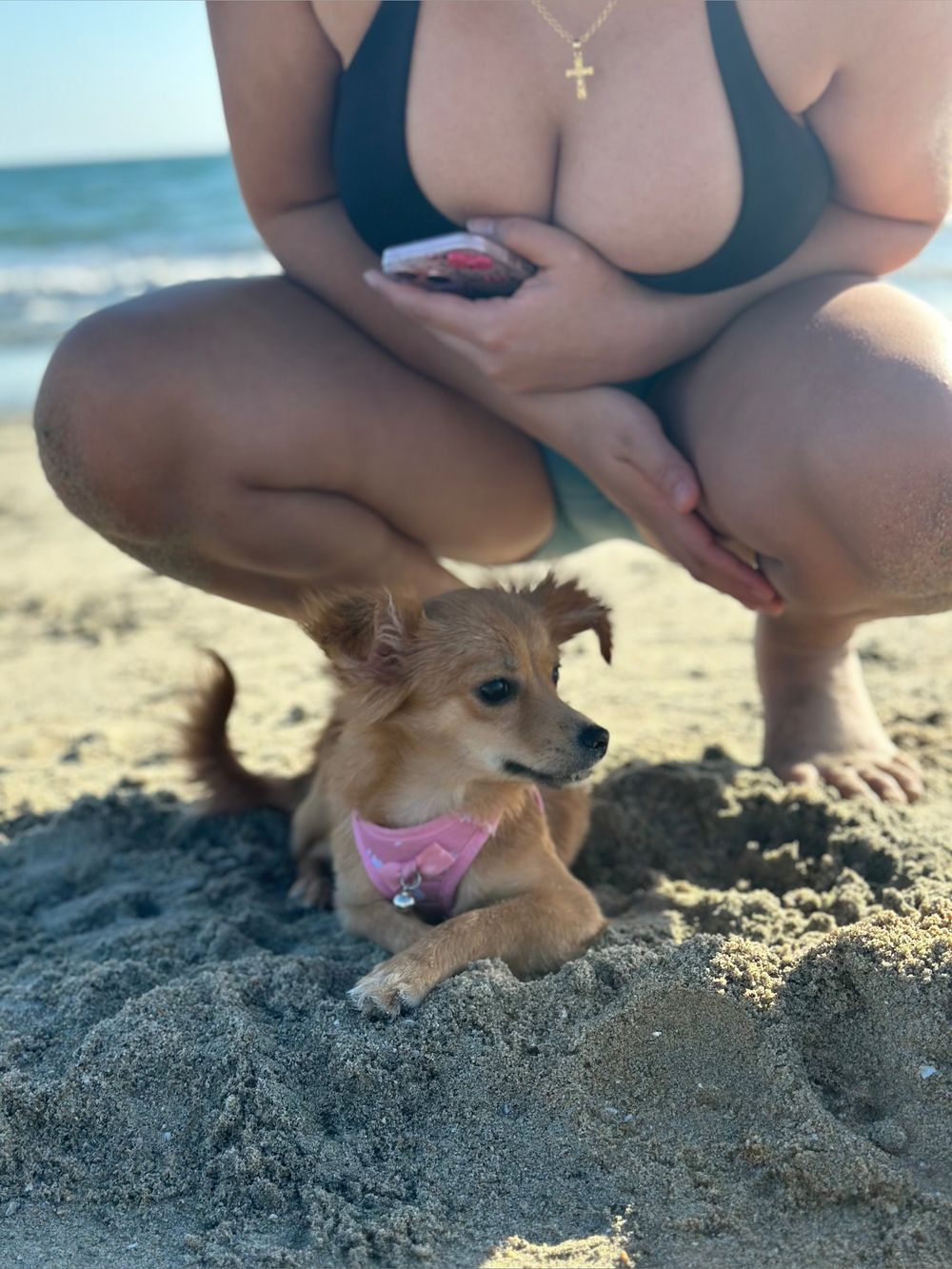 foxy_vixen22 OnlyFans profile picture